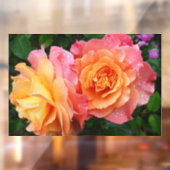 Mooie roze en oranje roos foto raamsticker (Vel 2)