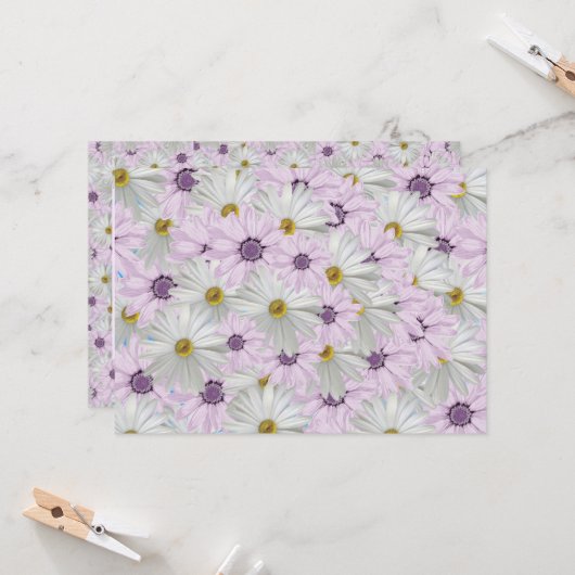 Mooie Roze en Witte Daisy Bloemen Groet Kaart (Voorkant / Achterkant in situ)