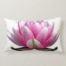 Mooie roze en witte Lotus Flower