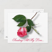 Mooie roze enig nam toe feestdagenkaart (Voorkant / Achterkant)