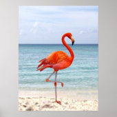 Mooie Roze Flamingo Bird op Beach Poster (Voorkant)