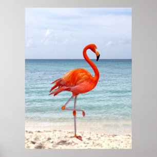 Mooie Roze Flamingo Bird op Beach Poster
