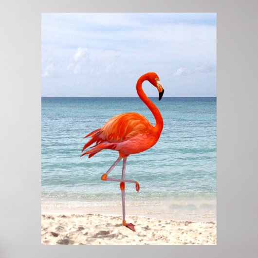 Mooie Roze Flamingovogel op het Strand Poster (Voorkant)