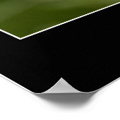 Mooie roze foto bij close-up poster (Hoek)