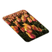Mooie Roze & Gele Tulpen Magneet (Rechterzijde)