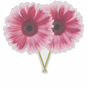 Mooie Roze Gerbera Daisies Contour Sticker (Voorkant)