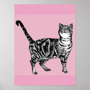 Mooie Roze Gestreepte Lapjeskat Poster Kunst
