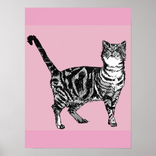Mooie Roze Gestreepte Lapjeskat Poster Kunst (Voorkant)