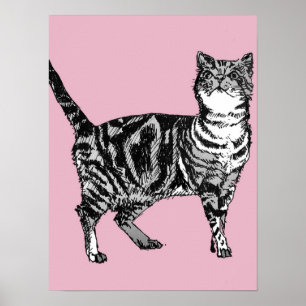 Mooie Roze Gestreepte Tabby Kat Katten Poster Kuns