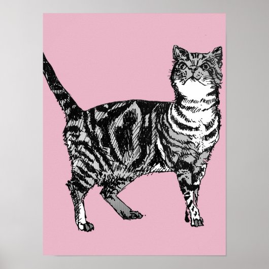 Mooie Roze Gestreepte Tabby Kat Katten Poster Kuns (Voorkant)