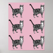 Mooie Roze Gestreepte Tabby Kat Katten Poster Kuns (Voorkant)