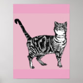 Mooie Roze Gestreepte Tabby Kat Katten Poster Kuns (Voorkant)