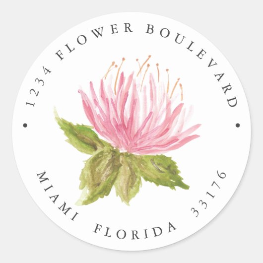 Mooie Roze groene vetplant bloem Retouradres Ronde Sticker (Voorkant)