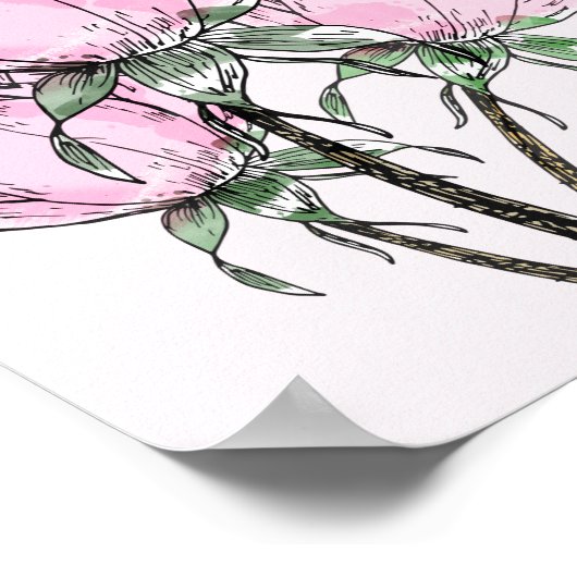 Mooie roze handgetekende Rozen Poster (Hoek)