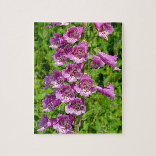 Mooie roze handschoenkasten legpuzzel (Verticaal)