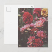 Mooie roze herfst bloemen fijne fotografie briefkaart (Voorkant / Achterkant)