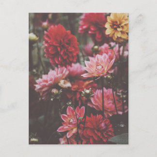 Mooie roze herfst bloemen fijne fotografie briefkaart