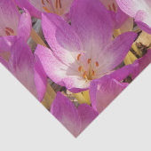 Mooie roze herfst krokussen Bloemen Tissuepapier (Detail)