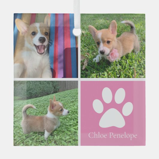 Mooie Roze Hondencollage Aangepaste Huisdier Kerst Glas Ornament (Voorkant)