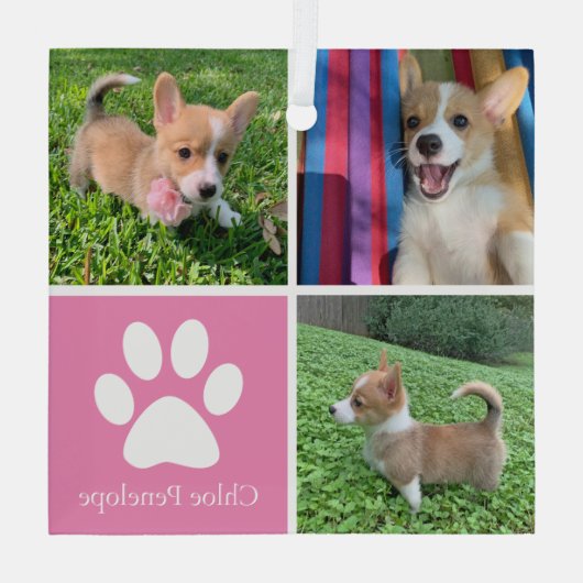 Mooie Roze Hondencollage Aangepaste Huisdier Kerst Glas Ornament (Achterkant)