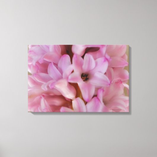 Mooie roze hyacint lente bloem canvas kunst (Voorkant)