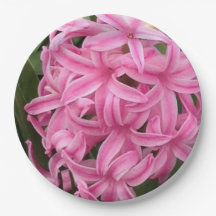 Mooie Roze Hyacinten Bloemig Papieren Borden