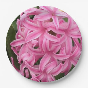 Mooie Roze Hyacinten Bloemig Papieren Borden Bordje
