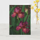 Mooie roze irissen Wenskaart leeg binnen Kaart (Gele Bloem)