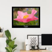 Mooie Roze Klaproos Close-Up Foto Poster (Thuiskantoor)