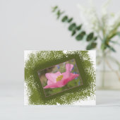 Mooie Roze Klaproos Foto Briefkaart (Staand voorkant)