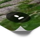 Mooie roze kleur veer pauw vogel poster (Hoek)