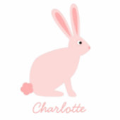 Mooie Roze Konijn Konijn Persoonlijk Kinder Shirts