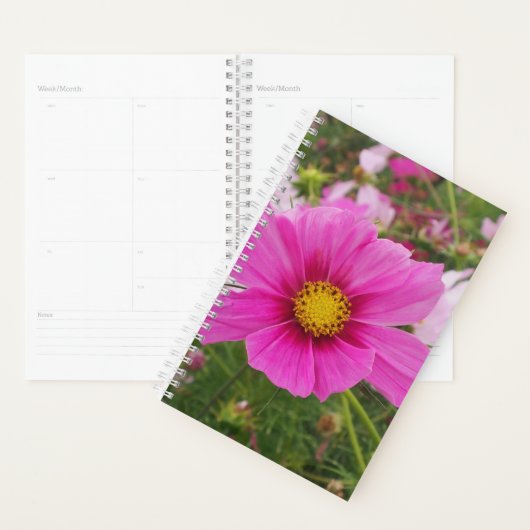 Mooie roze kosmos bloem planner (Display)