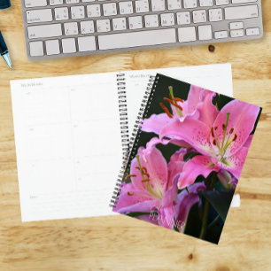 Mooie Roze Lelie Bloesem Bloemen Planner