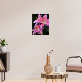 Mooie Roze Lelie Bloesem Bloemen Poster