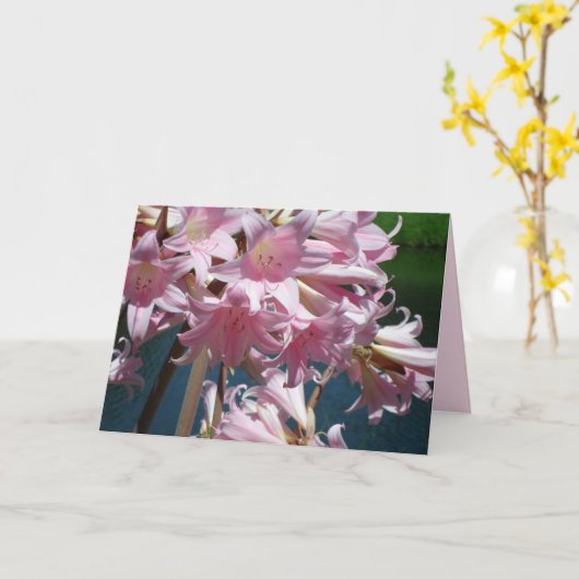 Mooie Roze Lelies Kaart (Gele Bloem)