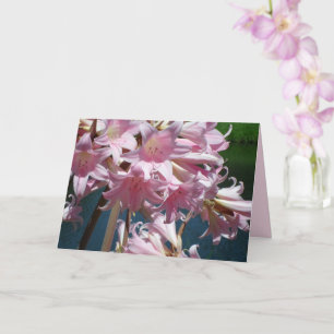 Mooie Roze Lelies Kaart