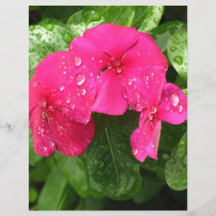 Mooie Roze Lente Bloemen Scrapbooking Papier