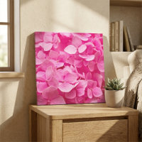 Mooie Roze Lente Hortensia Bloem Fotografie