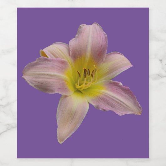 Mooie roze lib wijn etiket (Enkel label)