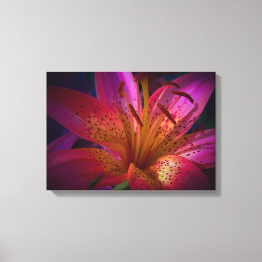 Mooie Roze Lily Canvas Afdruk (Voorkant)