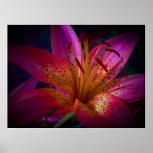 Mooie Roze Lily Poster