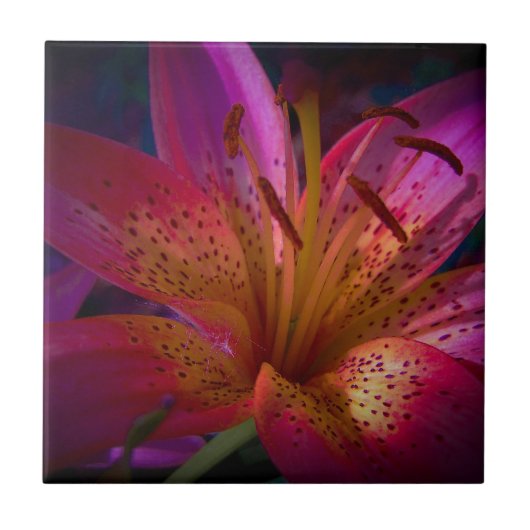 Mooie Roze Lily Tegeltje (Voorkant)