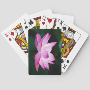 Mooie Roze Lotus Bloem Bloei Pokerkaarten