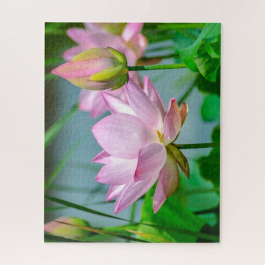 Mooie roze Lotus Flowers Legpuzzel (Verticaal)
