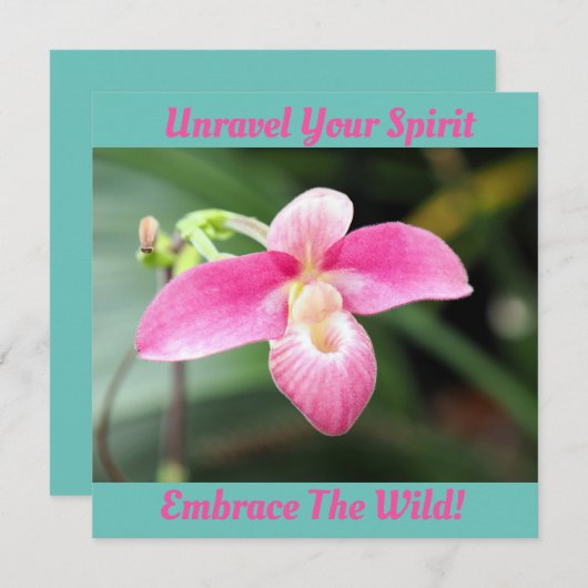 Mooie roze orchidee (Voorkant / Achterkant)