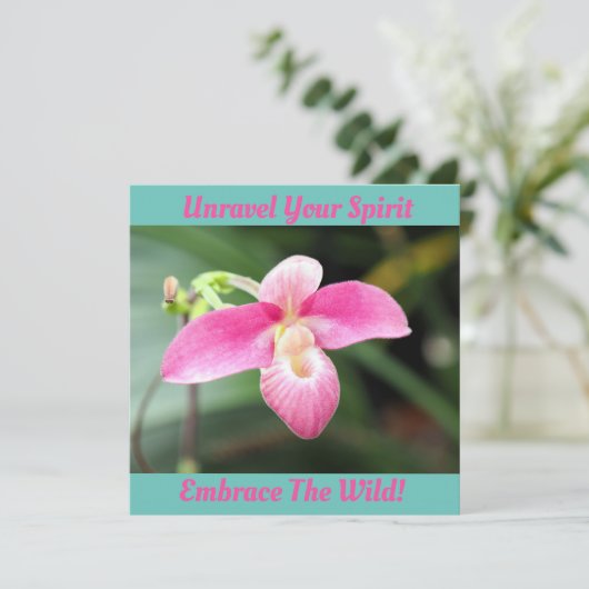 Mooie roze orchidee (Staand voorkant)