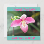 Mooie roze orchidee (Voorkant)