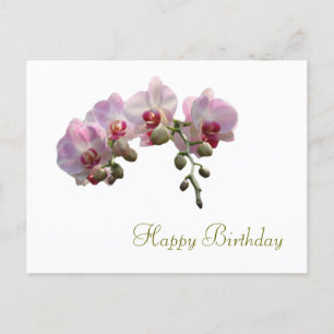 mooie roze orchidee bloemen gelukkige verjaardag briefkaart