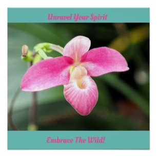 Mooie roze orchidee perfect poster